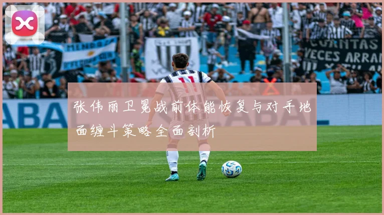 张伟丽卫冕战前体能恢复与对手地面缠斗策略全面剖析