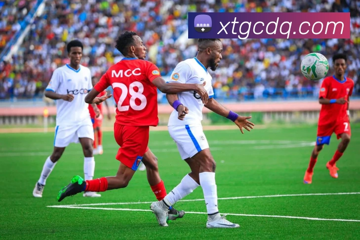 华体会服务体系