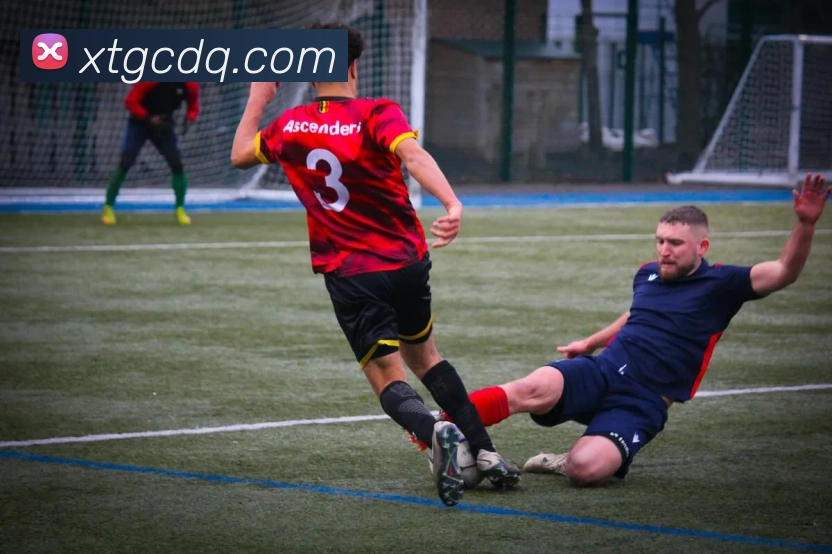 多媒体互动体验