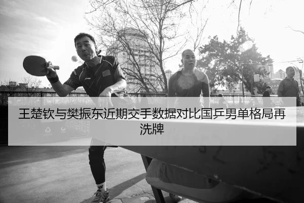 王楚钦与樊振东近期交手数据对比国乒男单格局再洗牌
